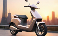 新蕾48v电动车型号，新蕾电动车全部型号48v电动车