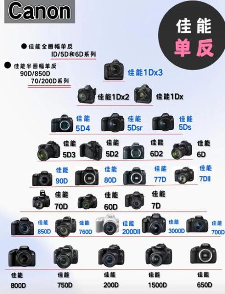 初学者买单反还是数码相机 初学者买单反还是微单