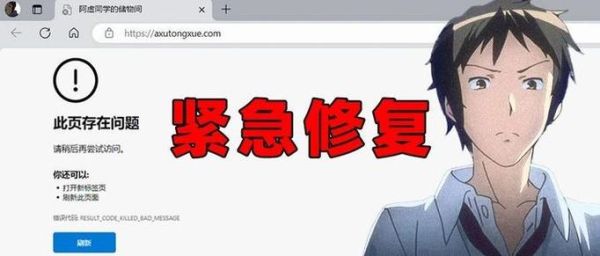 此页面已经崩溃 为什么页面升级不能看了
