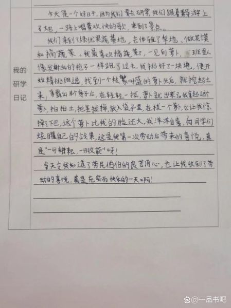 支付宝校园日记 支付宝游学记是干嘛用的