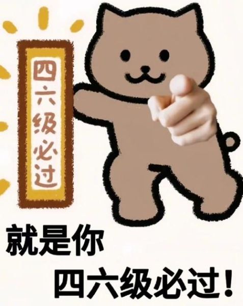 2012四六级成绩查询 个人中考成绩查询