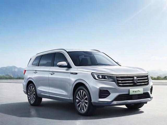 神州租车价格车型实图，神州租车网价目表2021